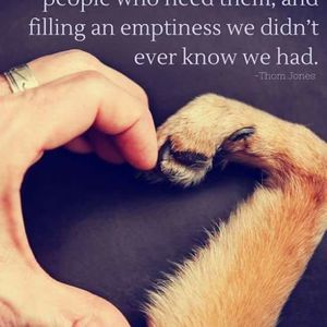 Meet your Posher, Kimberley